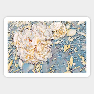 Creamy Rose No.1 Sticker